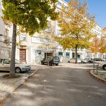 Youthful Design In By Cozzy Homes Lisboa